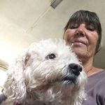Anne Anderson Mayo - @annemayo1234156 - Instagram