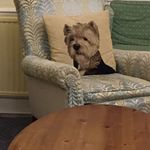 Ann Mcateer - @ann.mcateer1 - Instagram