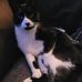 Anne McCaig - Facebook