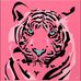 Anne Mccormack - Facebook