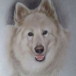 Kerry Anne McCormack - @kerryannemccormack - Instagram