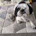 Anne Mccullough - Facebook