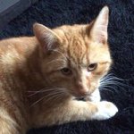 Anne McCullough - @anne_mccullough - Instagram