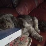 Anne McCullough - @anne.mccullough.50746 - Instagram