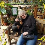 Anne Mccullough - @annemccullough644 - Instagram