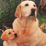 Anne McDonough - @mcdonough3907 - Instagram