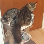 Anne Mcewan - @anne.mcewan.334 - Instagram