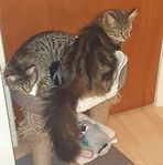 Anne Mcewan - Facebook