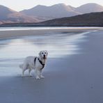 Anne McEwan - Facebook