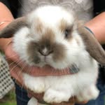 Anne McEwan - @a.mcewan477 - Instagram