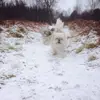annemariemcglinchey - @annemariemcglinchey - TikTok