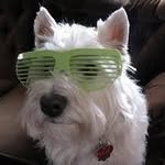 Annette McGlinchey - @annette.mcglinchey.77 - Instagram