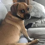 Anne Greene McGuinness - @larry.barker.73932 - Instagram