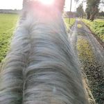 Anne Mc Guinness - @anne.mcguinness.94617 - Instagram