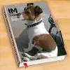 Anne Mclean - @anne.mclean2 - TikTok