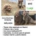 Anne McMorrow - Facebook