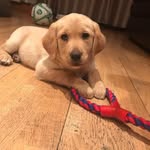 Ann McNamee - @mcnamee4262 - Instagram