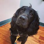 Ann McNutt Peereboom - @snaxxlife - Instagram
