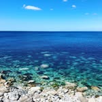 Anne Mercer - @annes_email_2000 - Instagram