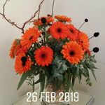 Anne Mercer - @atannemade - Instagram