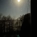 Ann Mertz - @ann.mertz - Instagram