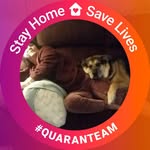 Ann Mertz - @ann.mertz.52 - Instagram