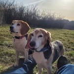 Anne Mertz - @annemertz35 - Instagram