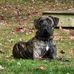 Anne Mertz - Facebook