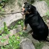 Shyanne Mertz - @shyanne.mertz - TikTok