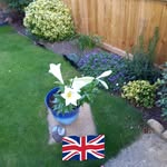 Anne Metcalfe - @anne.metcalfe.186 - Instagram