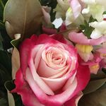 Anne Middleton - @anne_middleton_ - Instagram