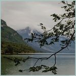 Anne Milot - @annemilot.coaching - Instagram