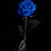 Anne Mohamed - Facebook