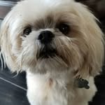 Ann Moorefield - @ann.moorefield - Instagram