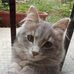 Anne Moreno - Facebook