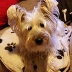 Anne Moroney - @anne.moroney1 - Instagram