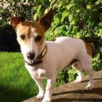 Anne Moroney - @moroneyanne - Instagram