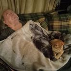 Anne Morrow - Facebook