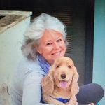 Anne E. Moses - @annemosesbennett - Instagram