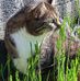 Anne Mueller - Facebook