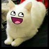 annemueller277 - @annemueller277 - TikTok