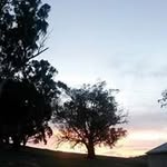 Anne Murphy - @annemurphy60 - Instagram