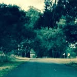 Anne Murphy - @annemurphy2352 - Instagram