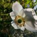 Anne Nagle - Facebook