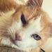 Ann Nicol - Facebook