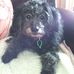 Anne Nicol - Facebook
