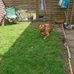 Anne Nicol - Facebook
