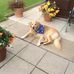 Anne Nicol - Facebook