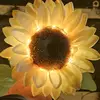 AnneNicol - @sunflowr441974 - TikTok
