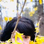 Carrie Anne Noble, Author - @carrieannenoble7 - Instagram